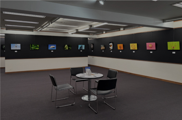 フォトギャラリー